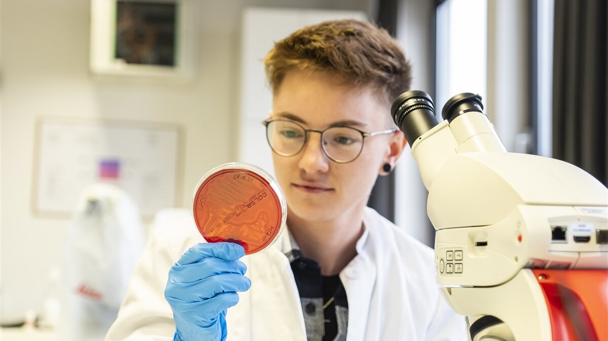 Ein junger Mann untersucht Bakterienkulturen in einer Petrischale.